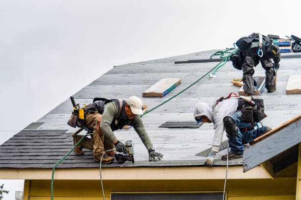Professional Roof Installation technician working in Basco, IL